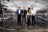 ‘This Is an Internment Camp’: Lawmakers Horrified by Inhumane Conditions in ‘Alligator Alcatraz’