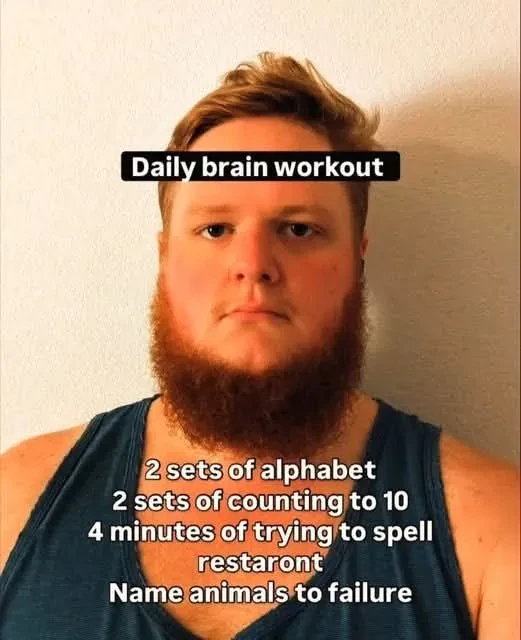 Picture of a person looking at the screen captioned: "Daily brain workout. 2 sets of the alphabet. 2 sets of counting to 10. 4 minutes of trying to spell restaront. Name animals to failure."