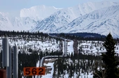Trump Plan to Expand Land for Arctic Drilling Is an Ecological Disaster