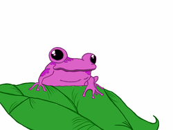 purplenimblefrog404